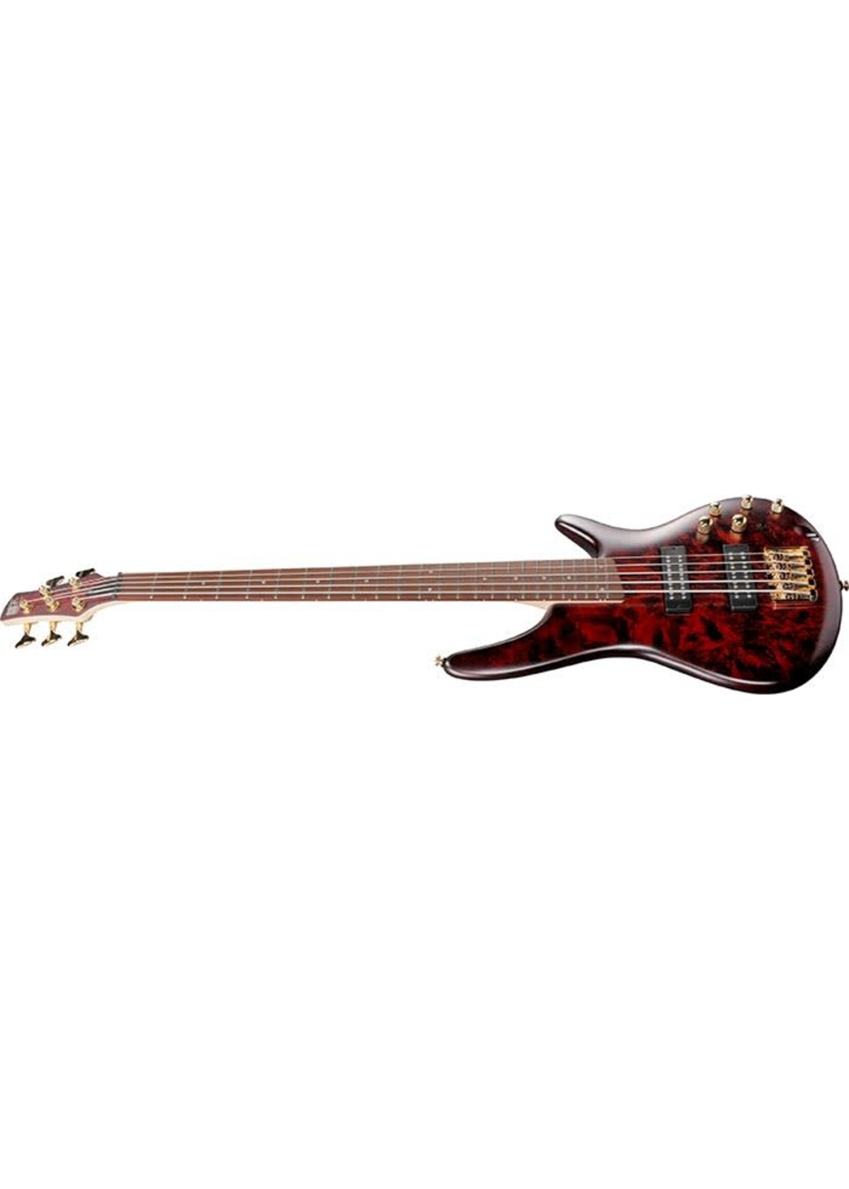 Ibanez Ibanez SR305EDXWZM SR 5-String Bass Guitar - Wine Red Frozen Matte