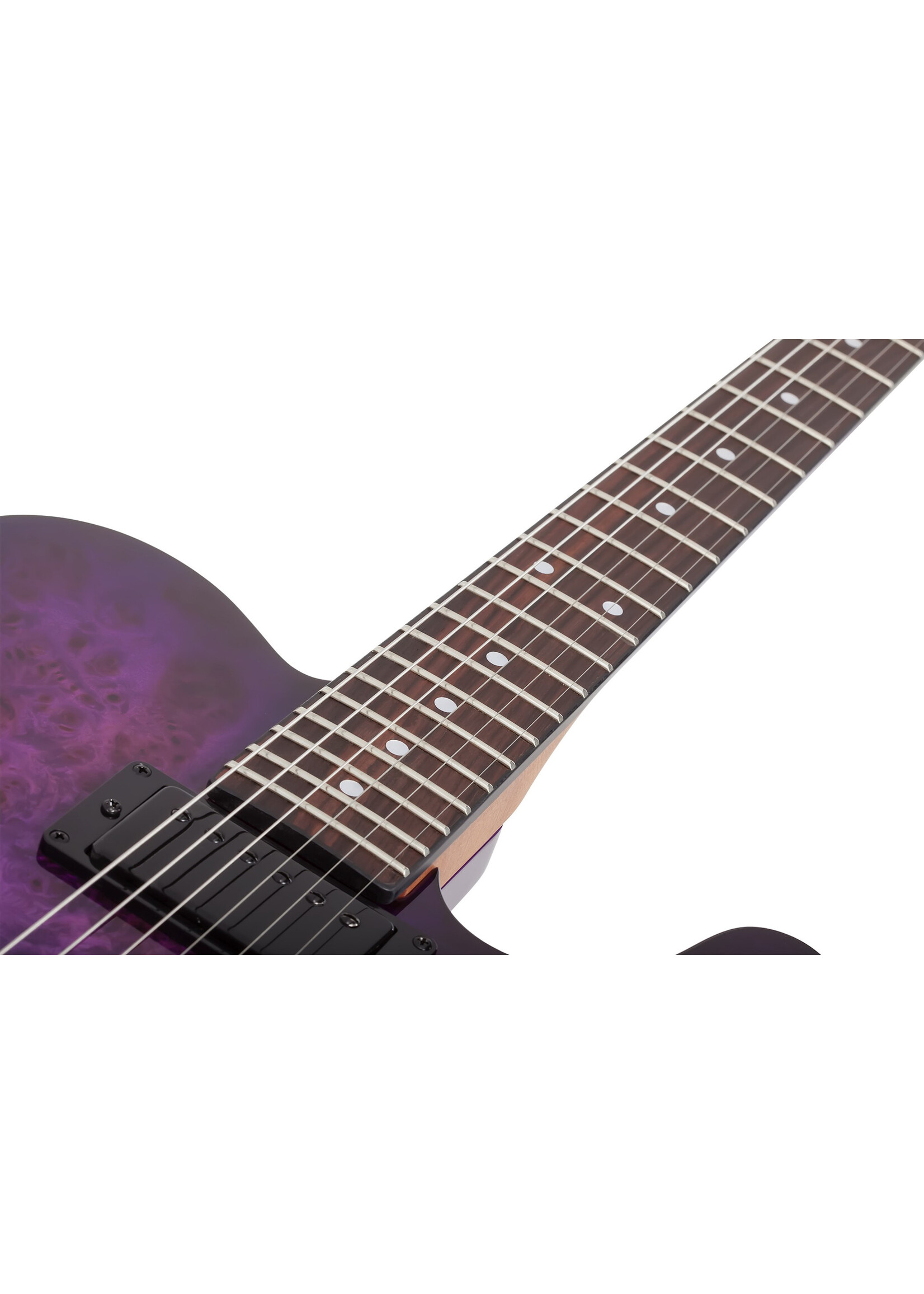 Schecter Schecter 3956 PT Standard Electric Guitar, Purple Burst Burl