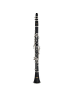 Apollo Apollo ACL-1400 Student Clarinet