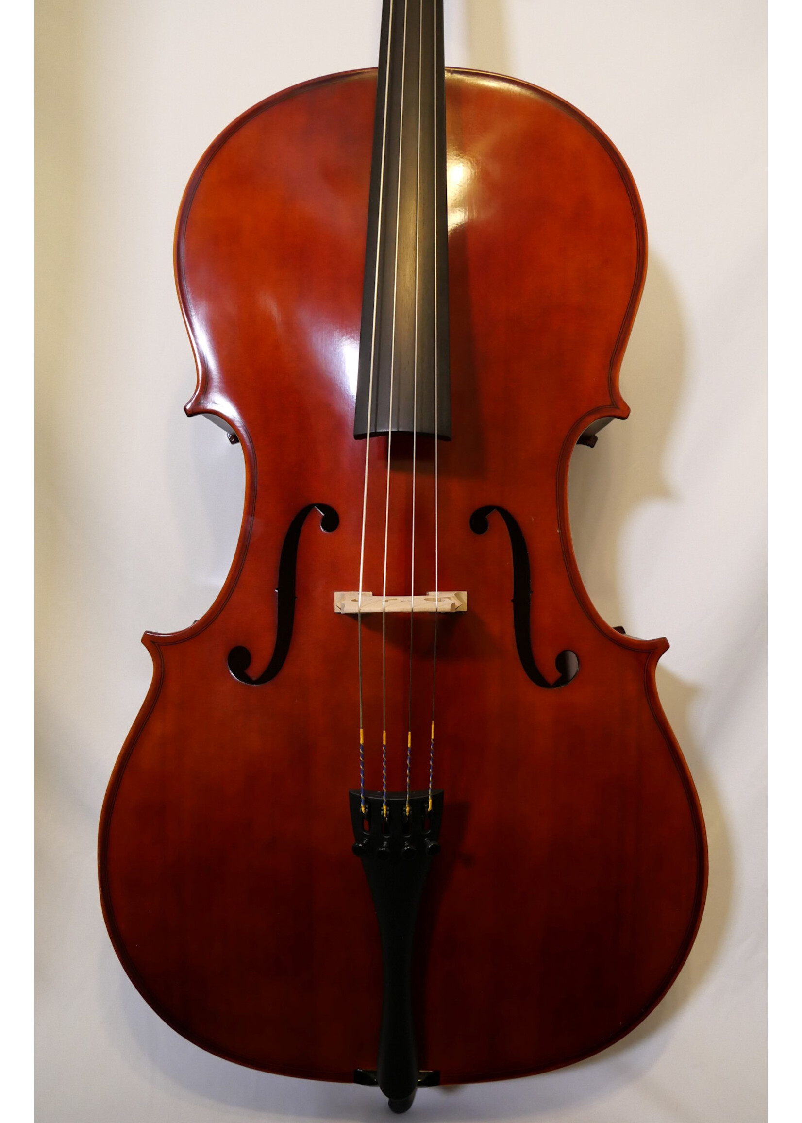 Knilling Knilling KVC1244 Sebastian Hybrid Series 4/4 Cello Outfit