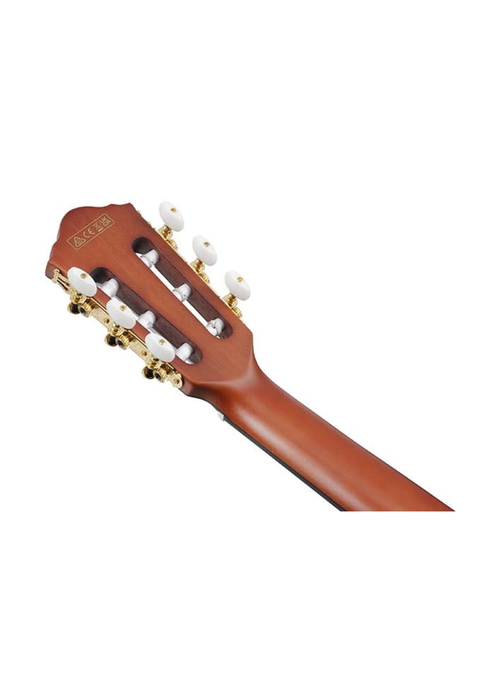 Ibanez Ibanez FRH10NNTF Thinline Nylon Acoustic Electric Guitar, Natural Flat