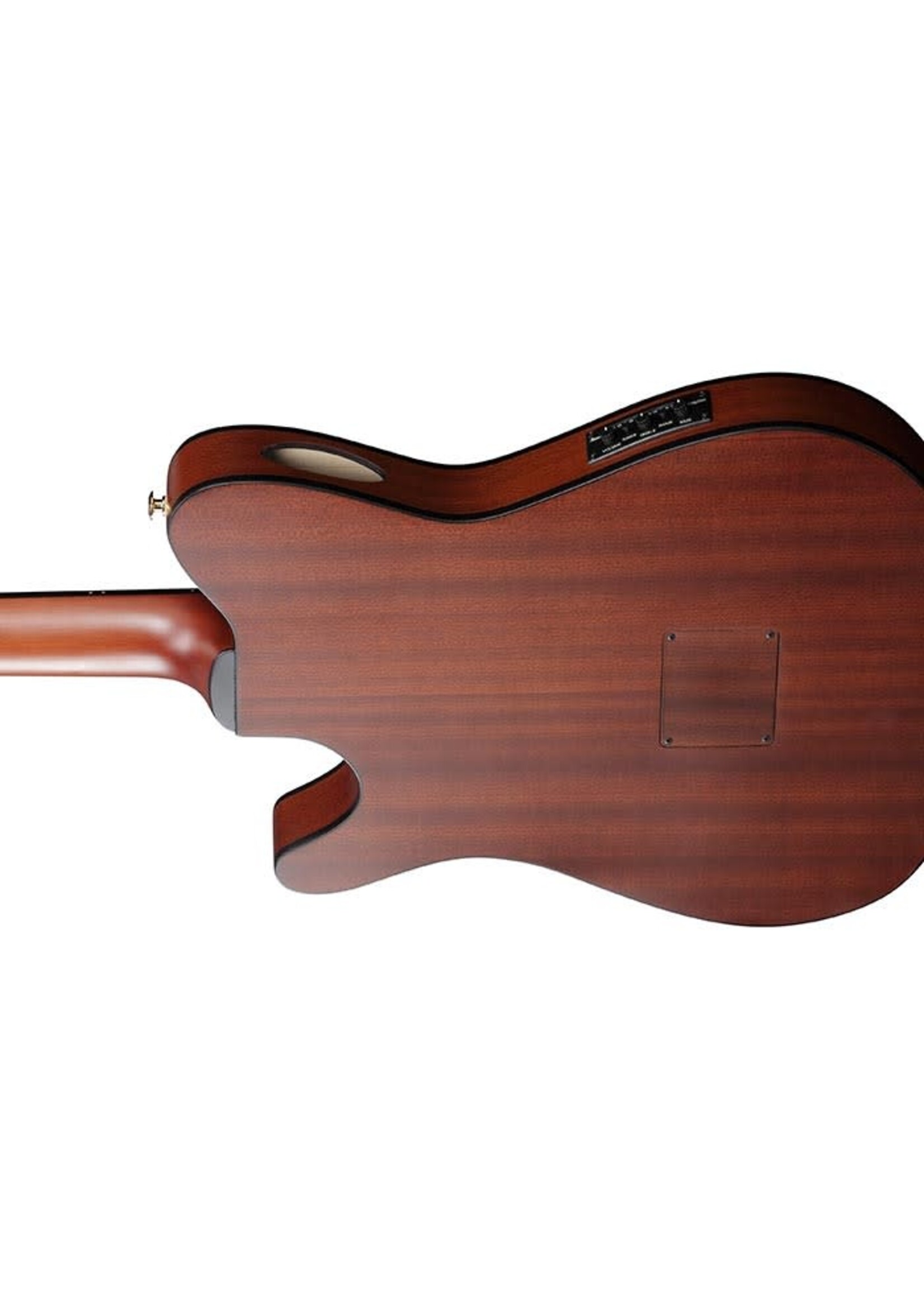 Ibanez Ibanez FRH10NNTF Thinline Nylon Acoustic Electric Guitar, Natural Flat