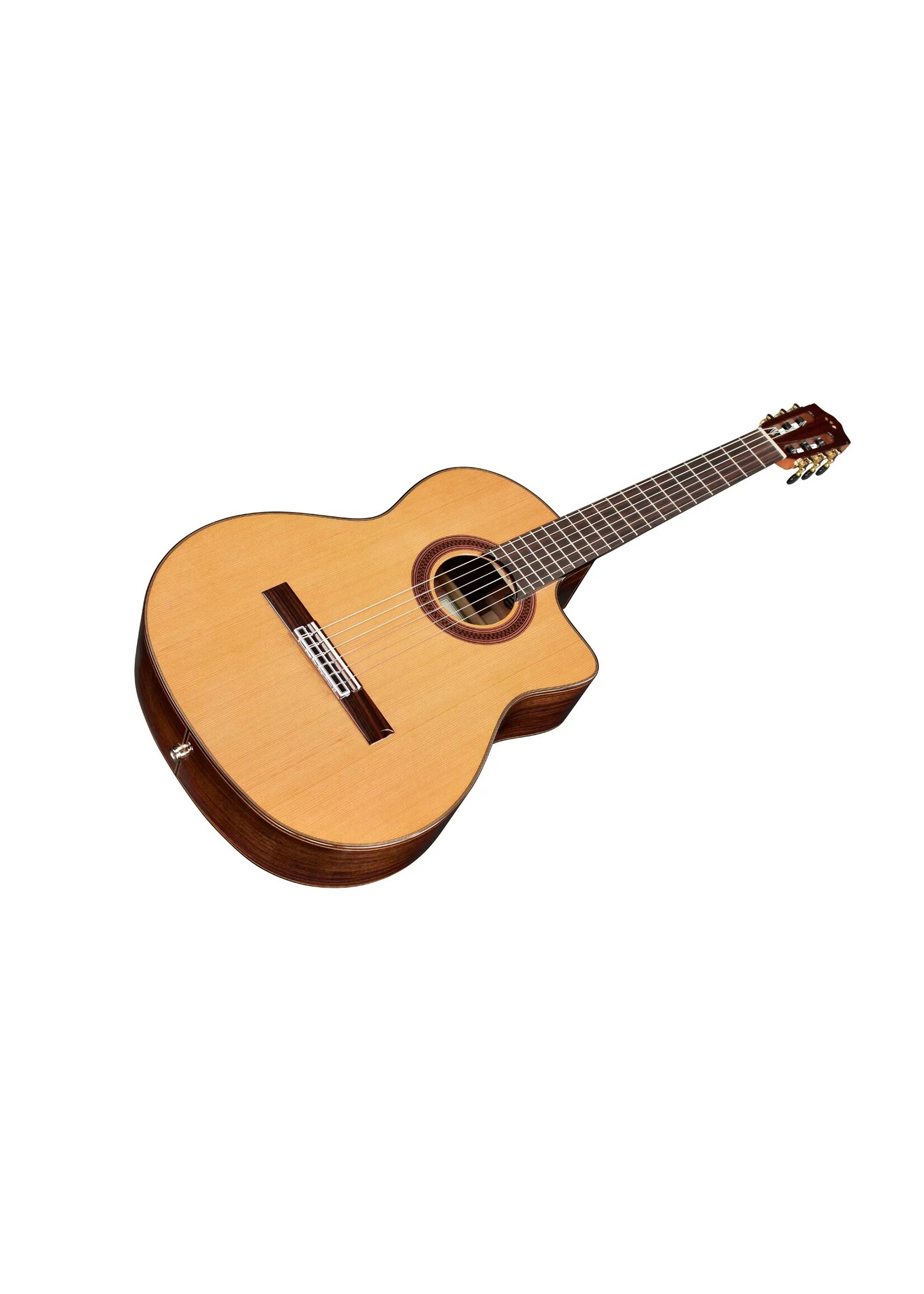 Cordoba Cordoba C7-CE CD Classical Nylon Acoustic-Electric Guitar Cedar Top, Rosewood