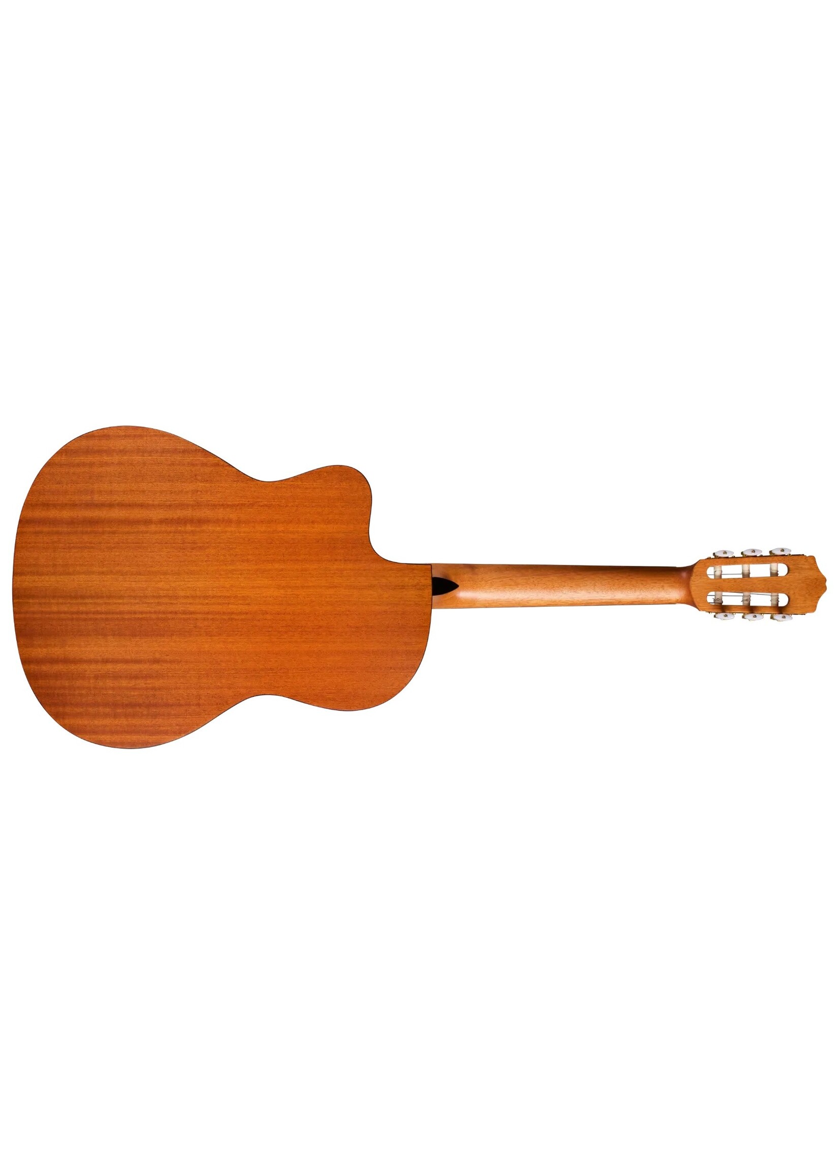 Cordoba Cordoba Protégé C1M-CE Acoustic Guitar - Natural with Cutaway and Electronics