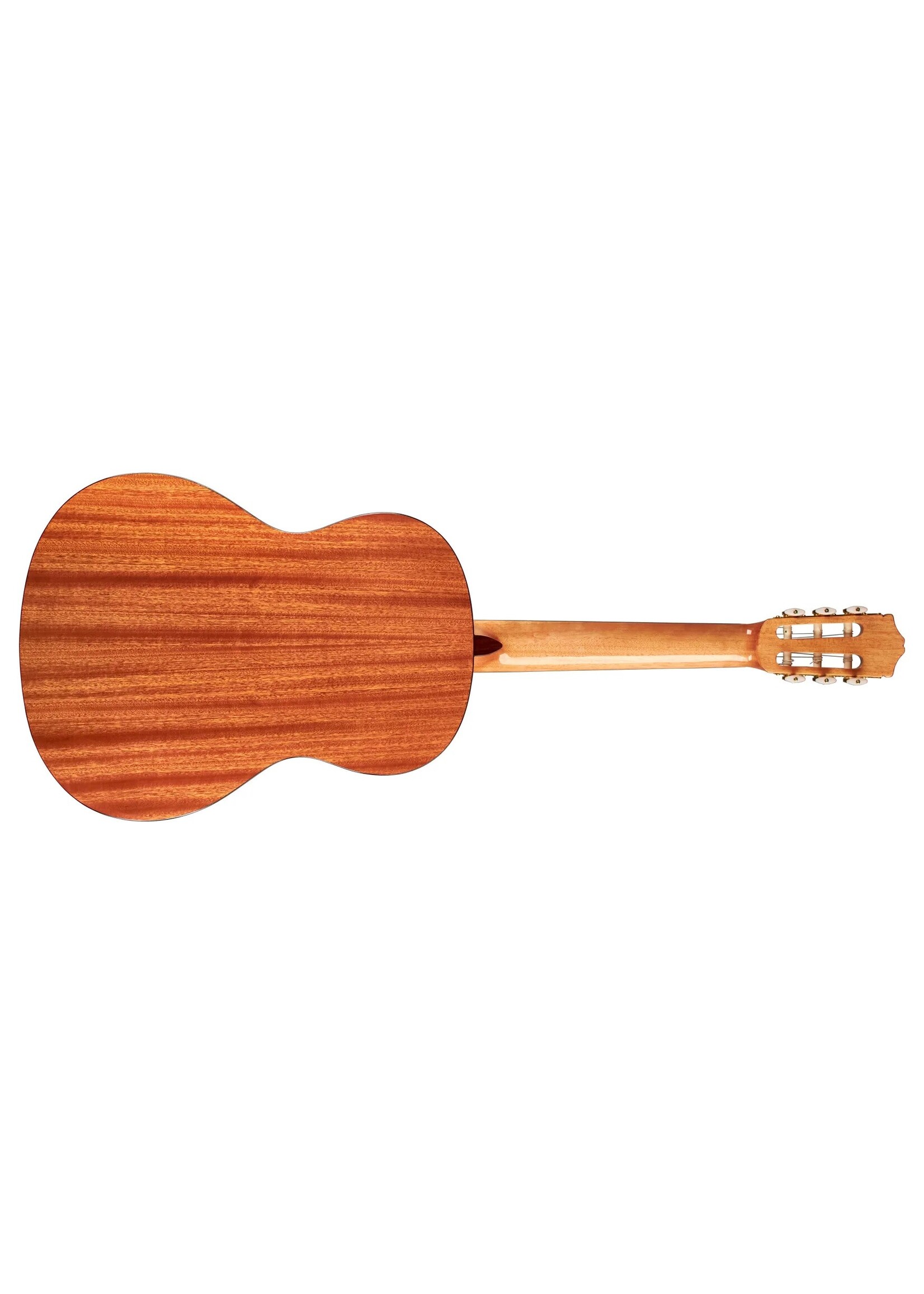 Cordoba Cordoba Protege C1 W/B Nylon String Acoustic Guitar - Spruce