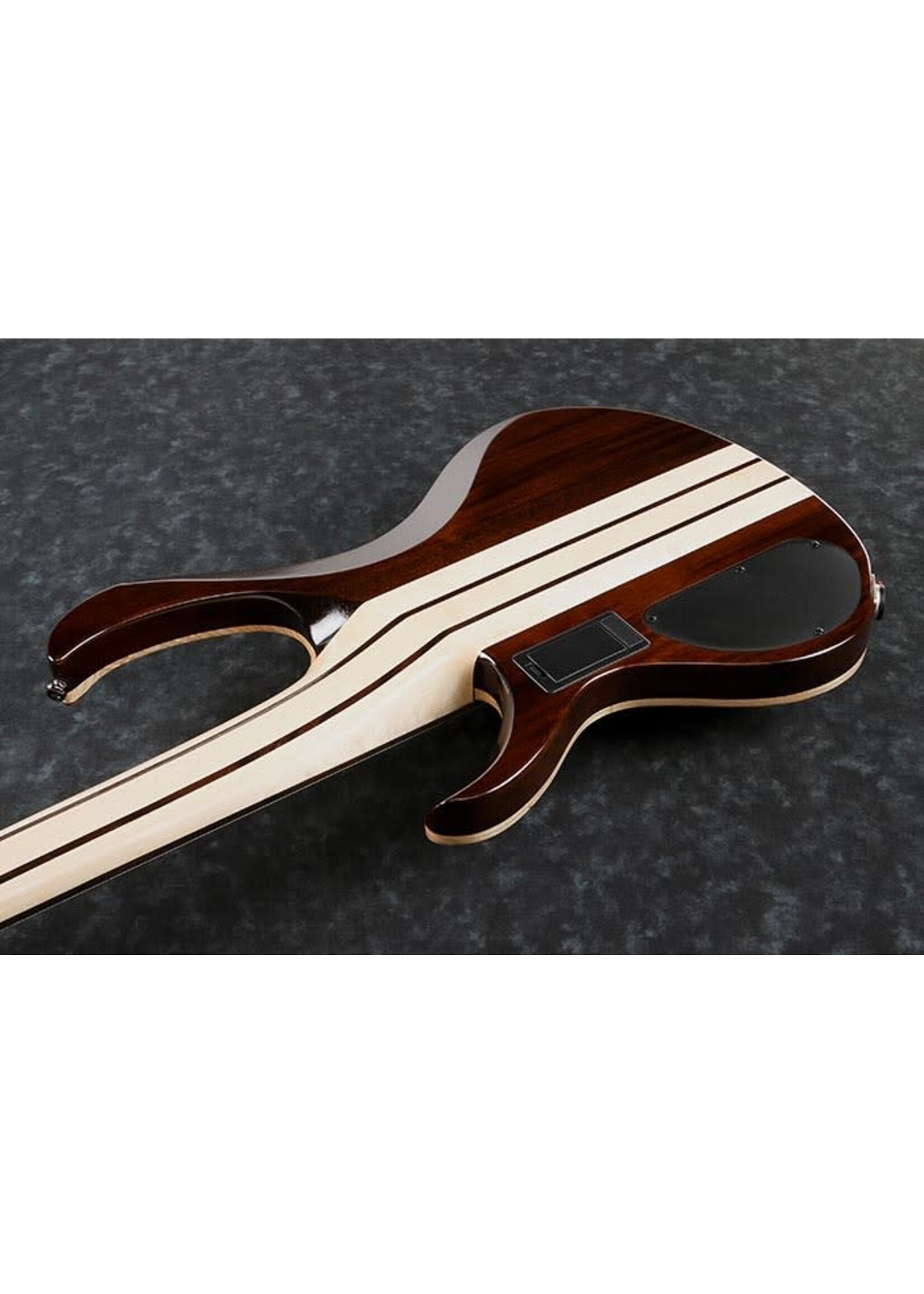 Ibanez Ibanez Standard BTB745NTL 5 String Bass Guitar - Natural Low Gloss