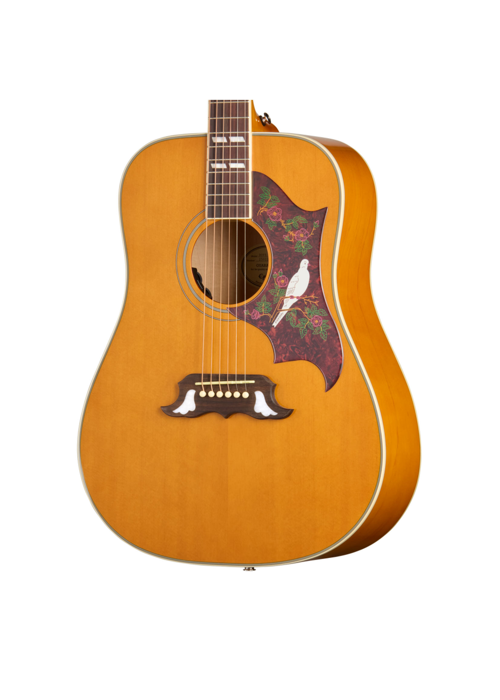 Epiphone Epiphone EASDVANNH1  Dove Studio, Antique Natural