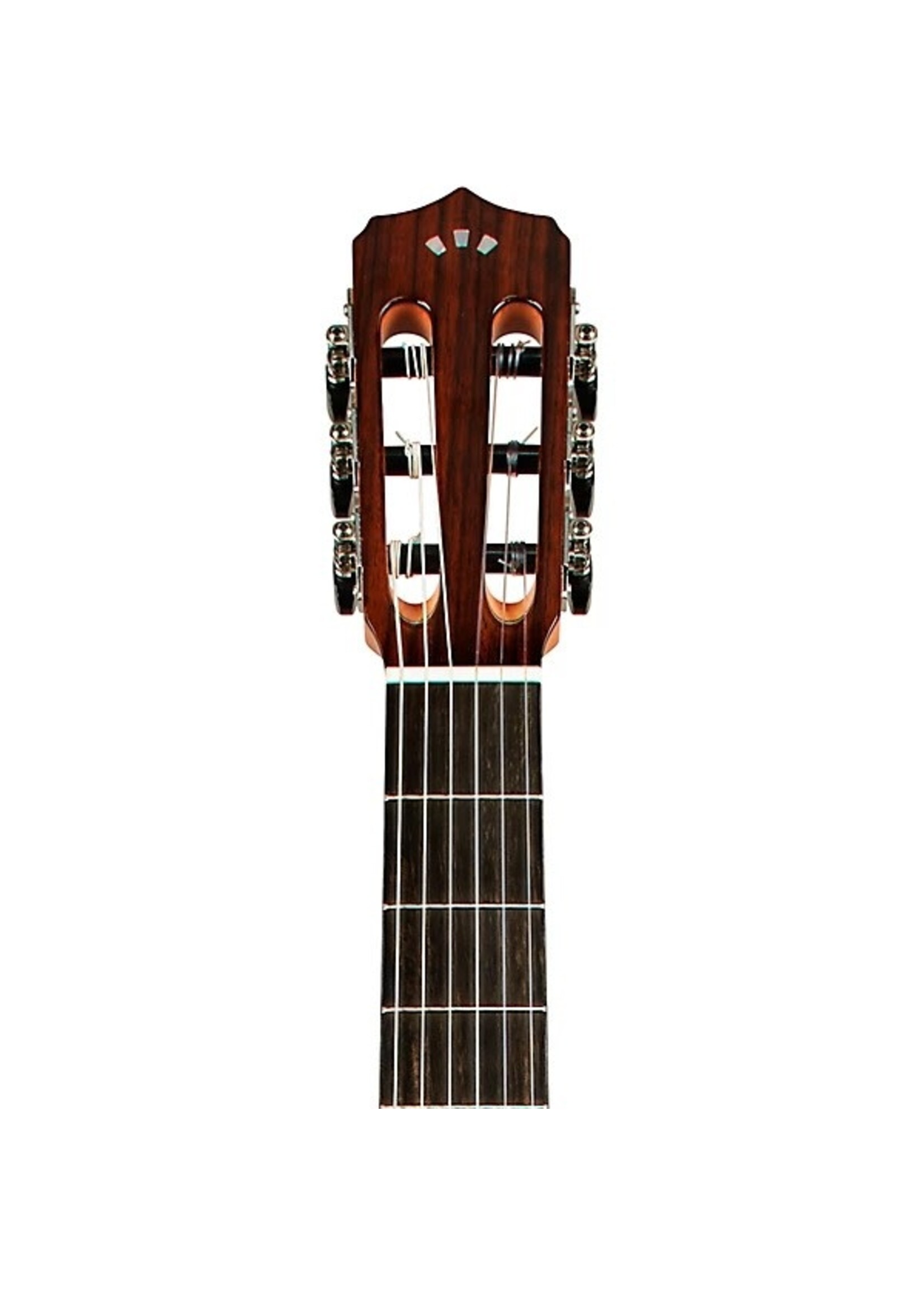 Cordoba Cordoba Fusion 12 Exotic Top Nylon Classical A/E Guitar - Brown Sugar Burst