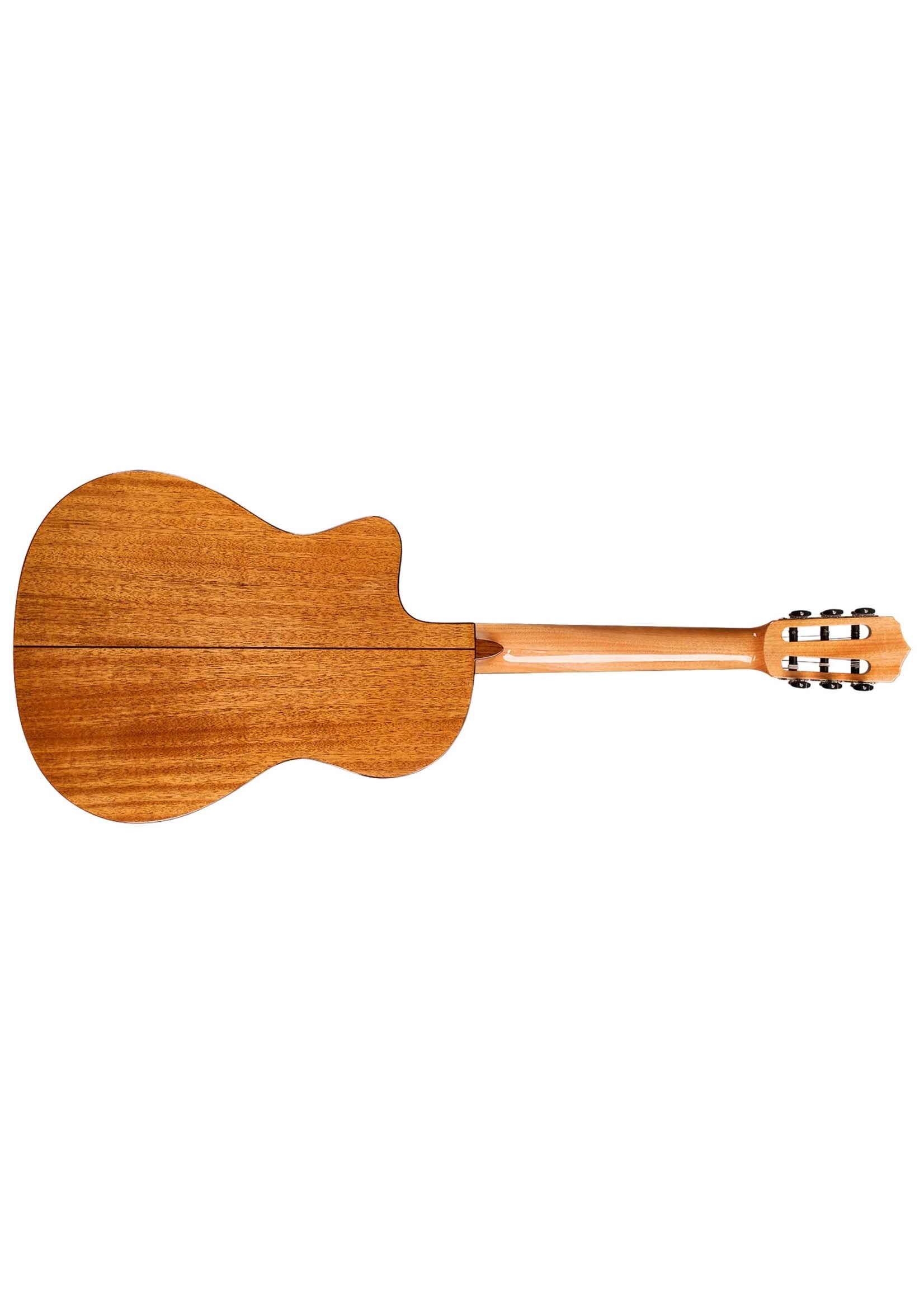 Cordoba Cordoba Fusion 5 Solid Spruce / Mahogany Ac/El Cutaway