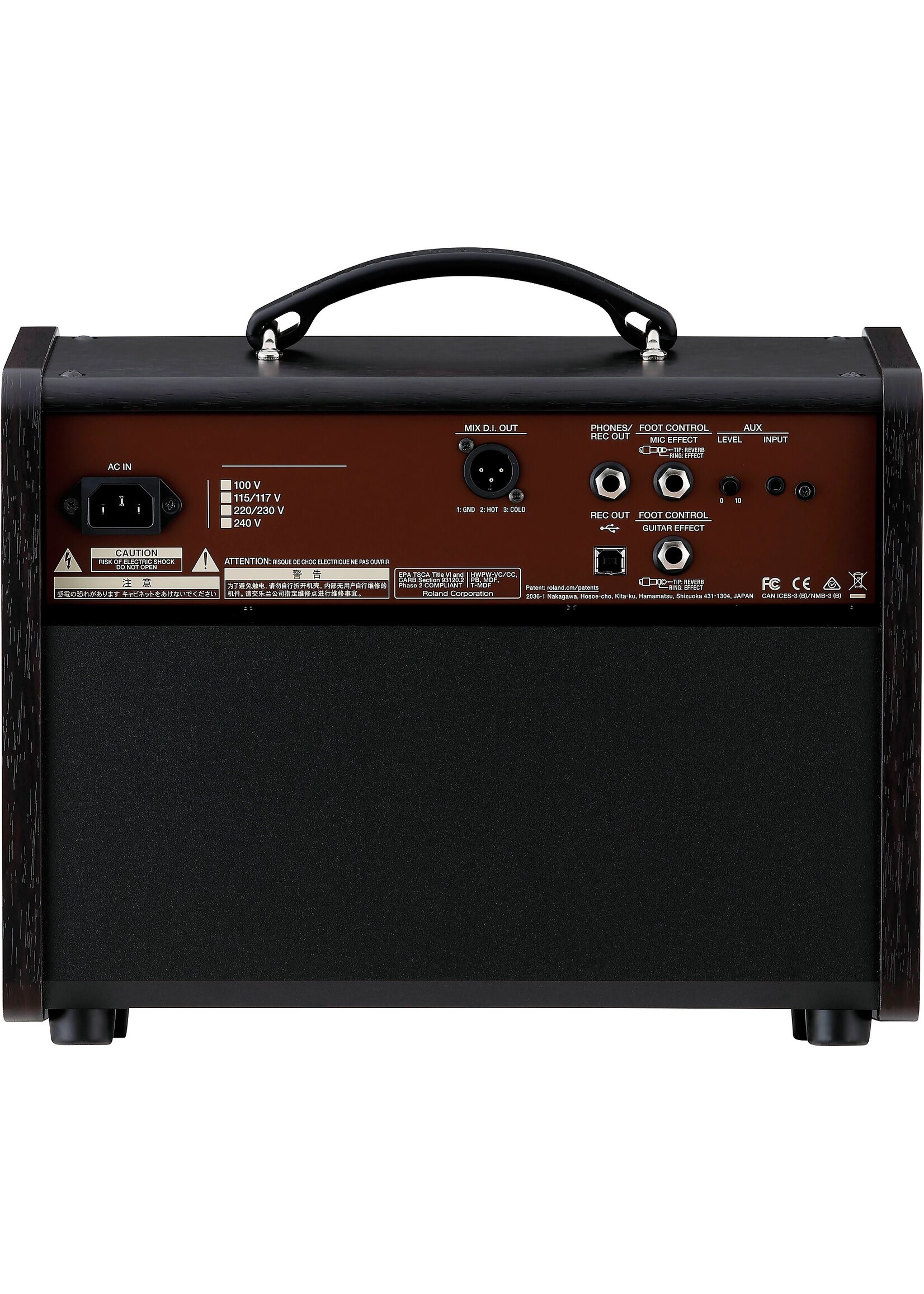 Boss Boss Acoustic Singer Live LT 60-watt Bi-amp Acoustic Combo