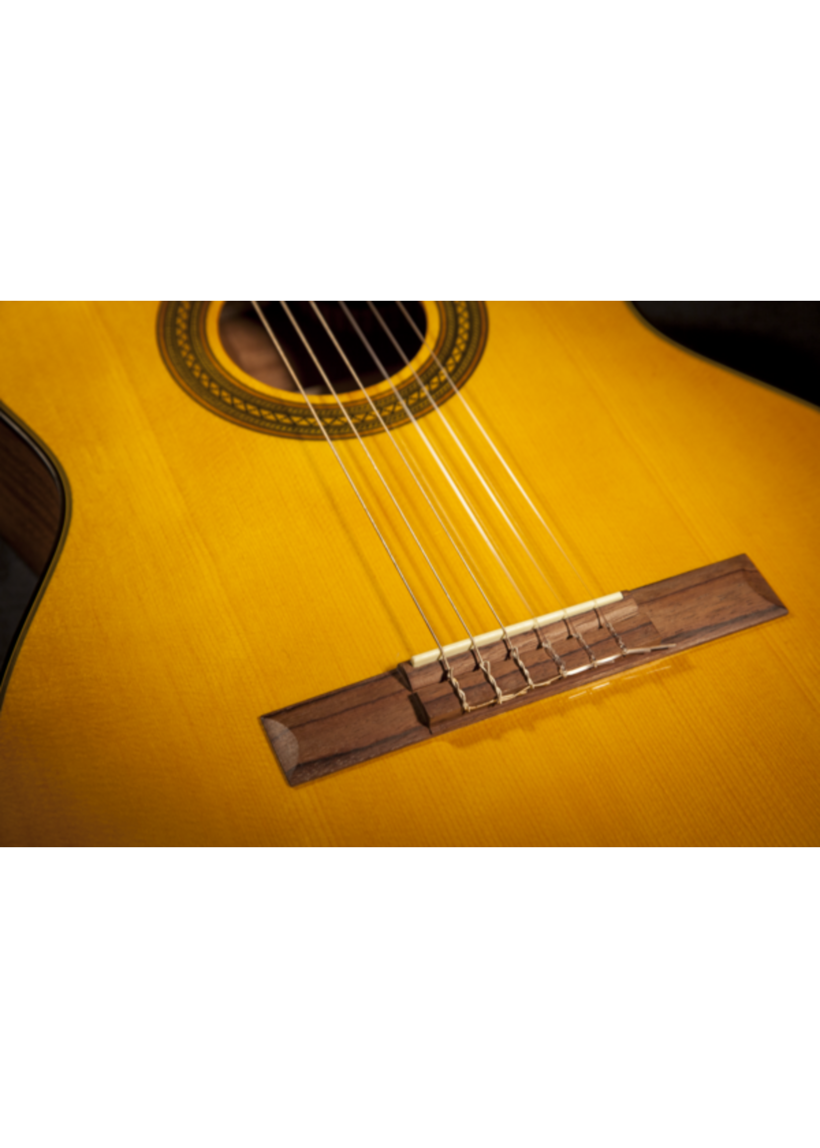 Takamine Takamine GC1CE-NAT Classical A/E Guitar, Natural