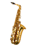 Victory Musical Victory Musical Triumph Series Eb Alto Saxophone Gold Laquer (Gen 2)