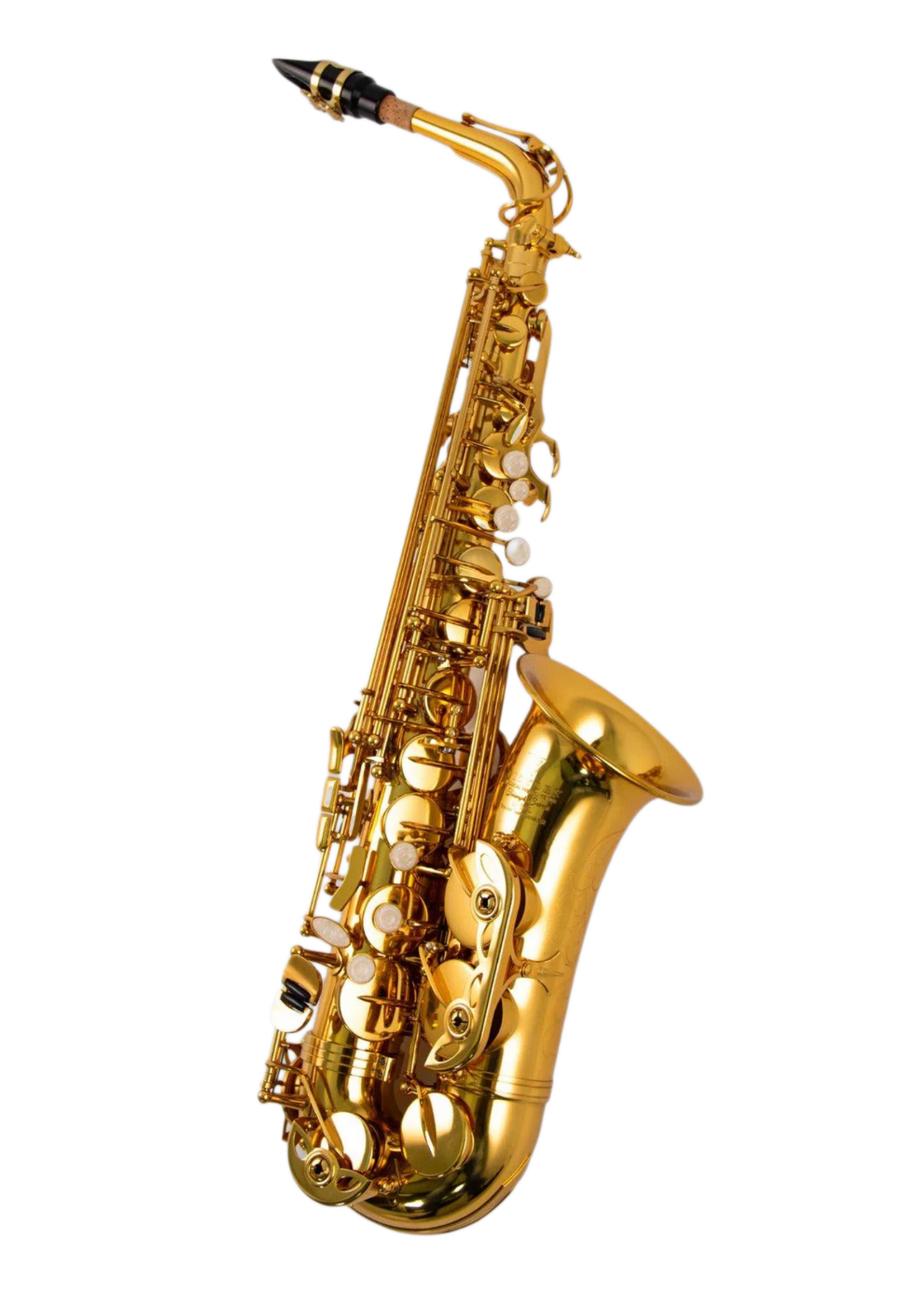 Victory Musical Victory Musical Triumph Series Eb Alto Saxophone Gold Laquer (Gen 2)