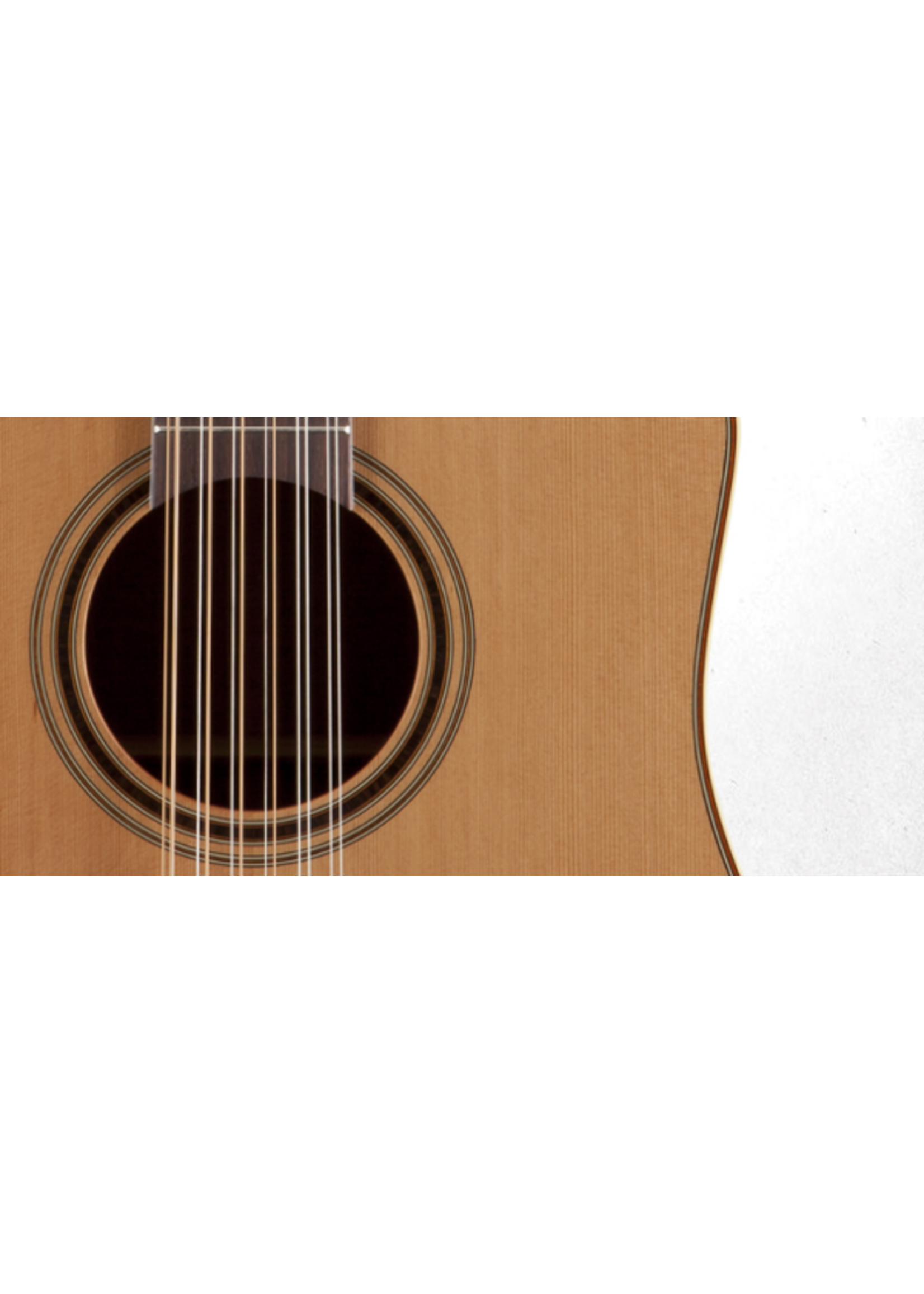 Takamine Takamine P3DC12 Pro Series Acoustic-Electric Guitar - Natural