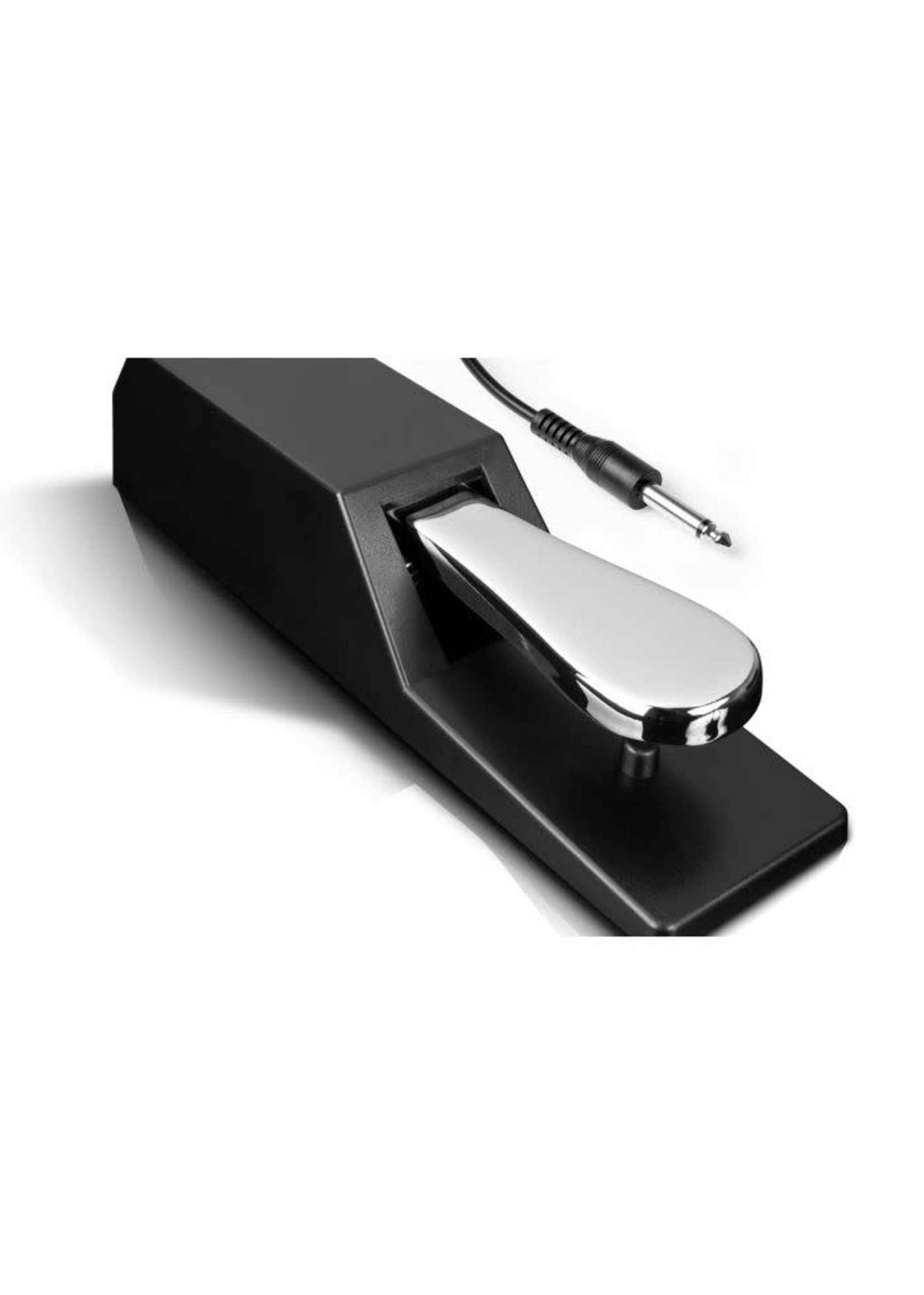 Alesis Alesis ASP2 Universal Piano Style Sustain Pedal
