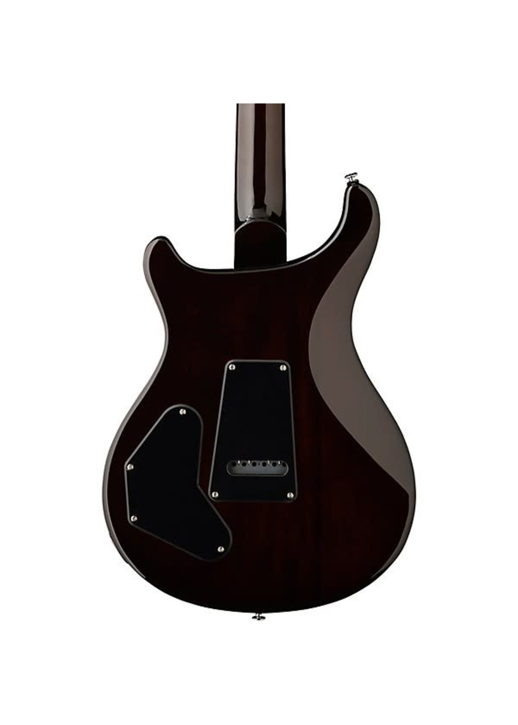 PRS PRS SE DGT Birds Electric Guitar Mccarty Tobacco Sunburst