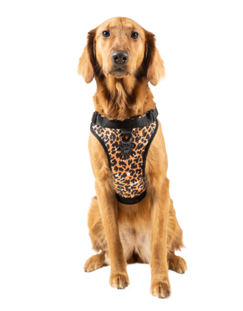 Canada Pooch Canada Pooch Everything Harness Water-Resistant Leopard L