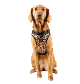 Canada Pooch Canada Pooch Everything Harness