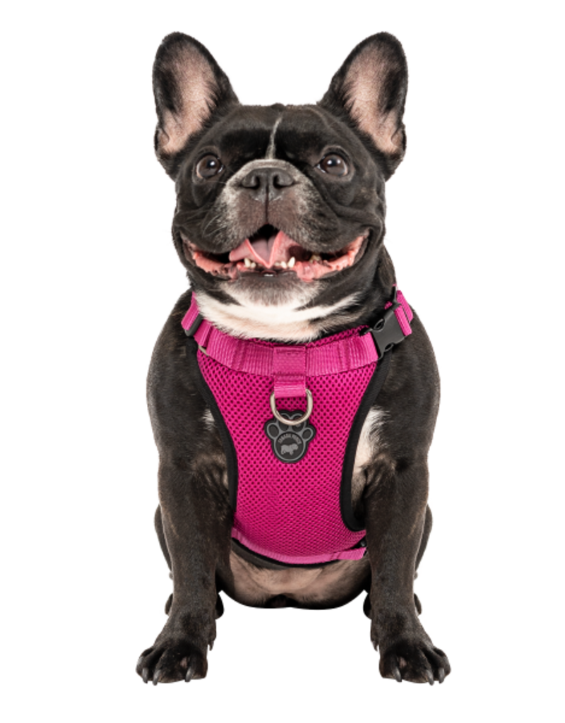 canada pooch harness pets at home