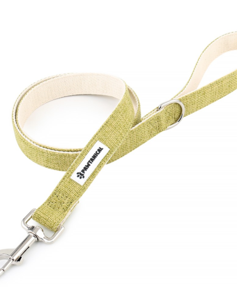 Pawtanical Hemp Leash Large 1"x5' Grass Green
