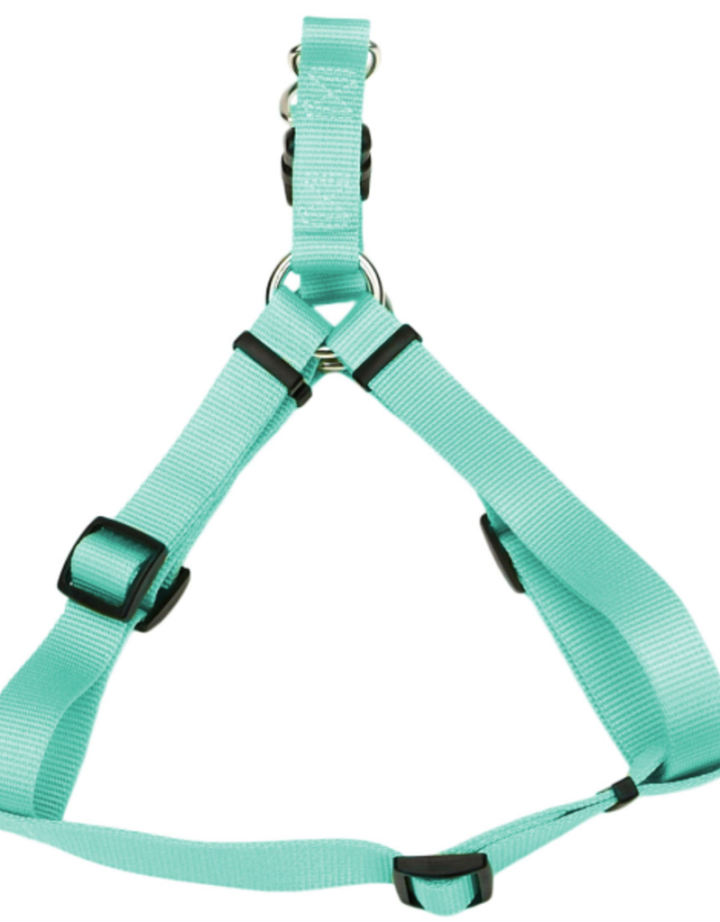 Coastal Comfort Wrap Adj. Harness Teal 3/4x20-30" MED