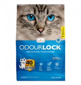Intersand Odour-lock Litter - Unscented 12kg