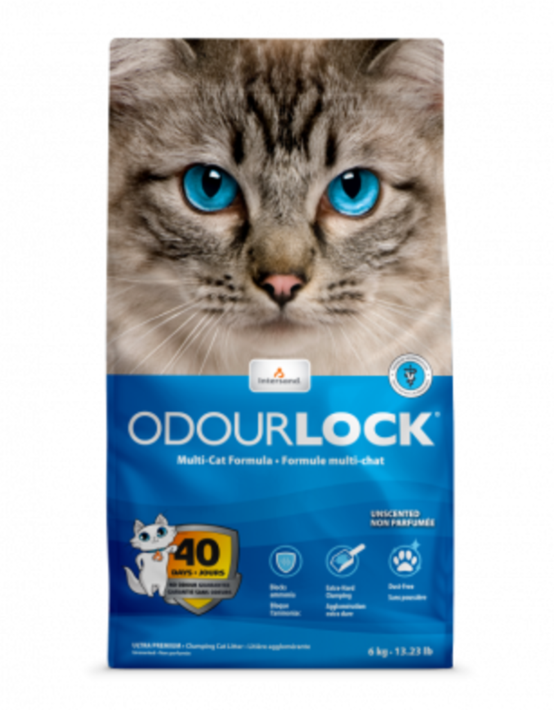 Intersand Odour-lock Litter - Unscented 6kg