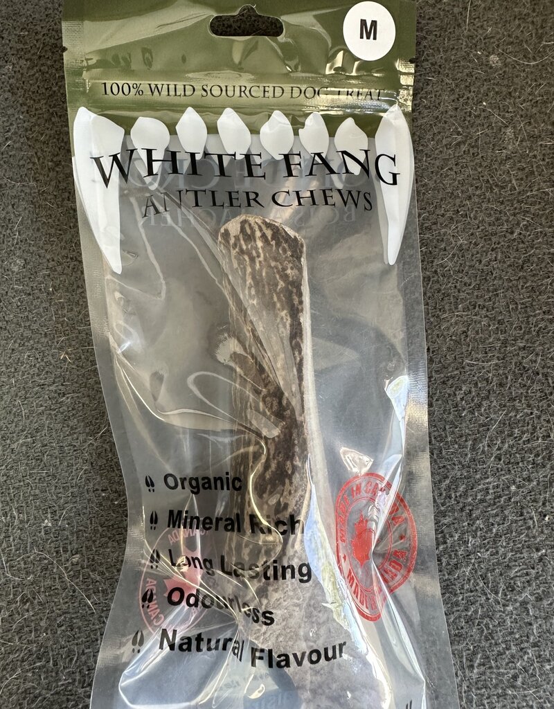 White Fang Antler Chew Medium