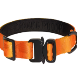 Canada Pooch Canada Pooch Core Utility Collar Orange S