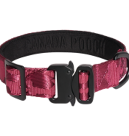 Canada Pooch Canada Pooch Core Utility Collar Plum S
