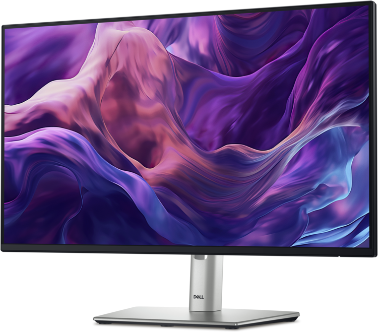 Dell 24-inch Professional Series Monitor (P2425H)