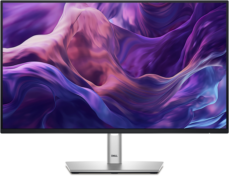 Dell 24-inch Professional Series Monitor (P2425H)