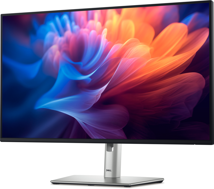 Dell 27-Inch Professional Monitor - P2725H