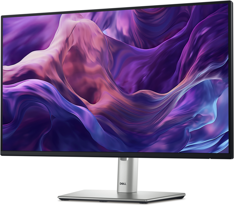 Dell 24-inch Professional Series USB-C Monitor with Hub (P2425HE)