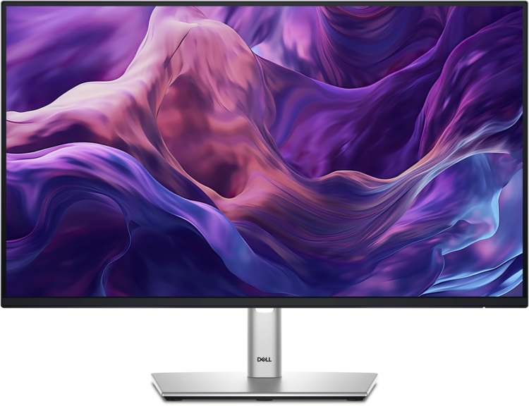 Dell 24-inch Professional Series USB-C Monitor with Hub (P2425HE)