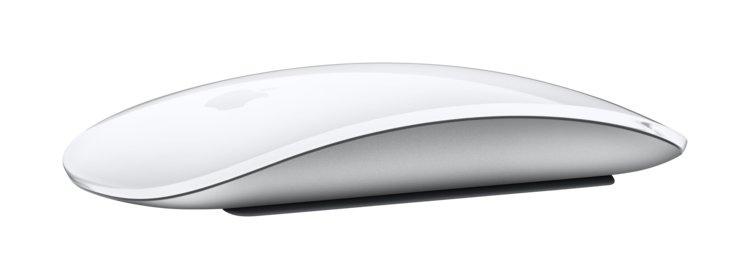 Apple Magic Mouse - Multi-Touch Surface