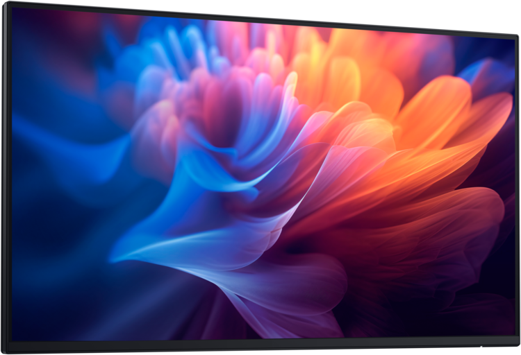 Dell 27-inch Professional Monitor without Stand (P2725H)