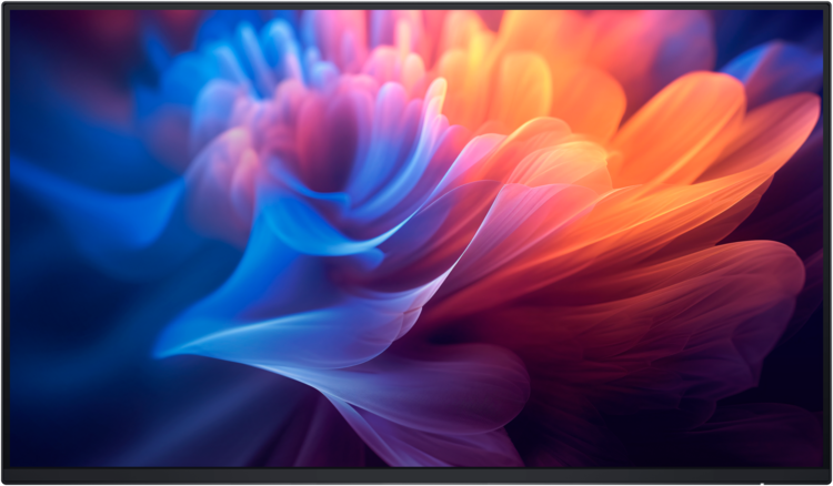 Dell 27-inch Professional Monitor without Stand (P2725H)