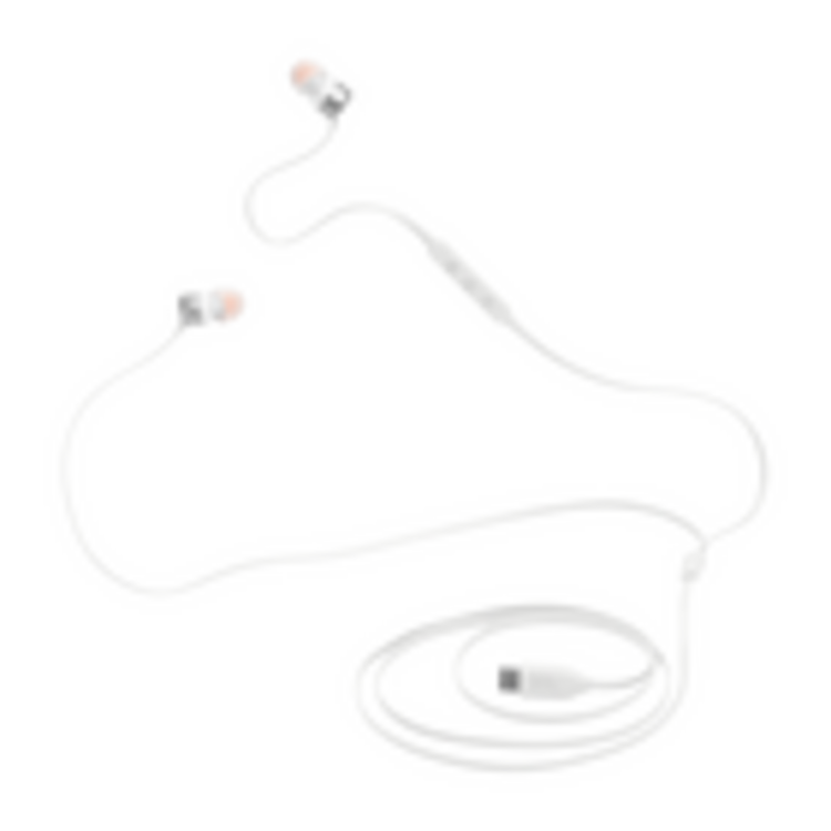 JBL Tune 310C Wired USB-C Earbuds