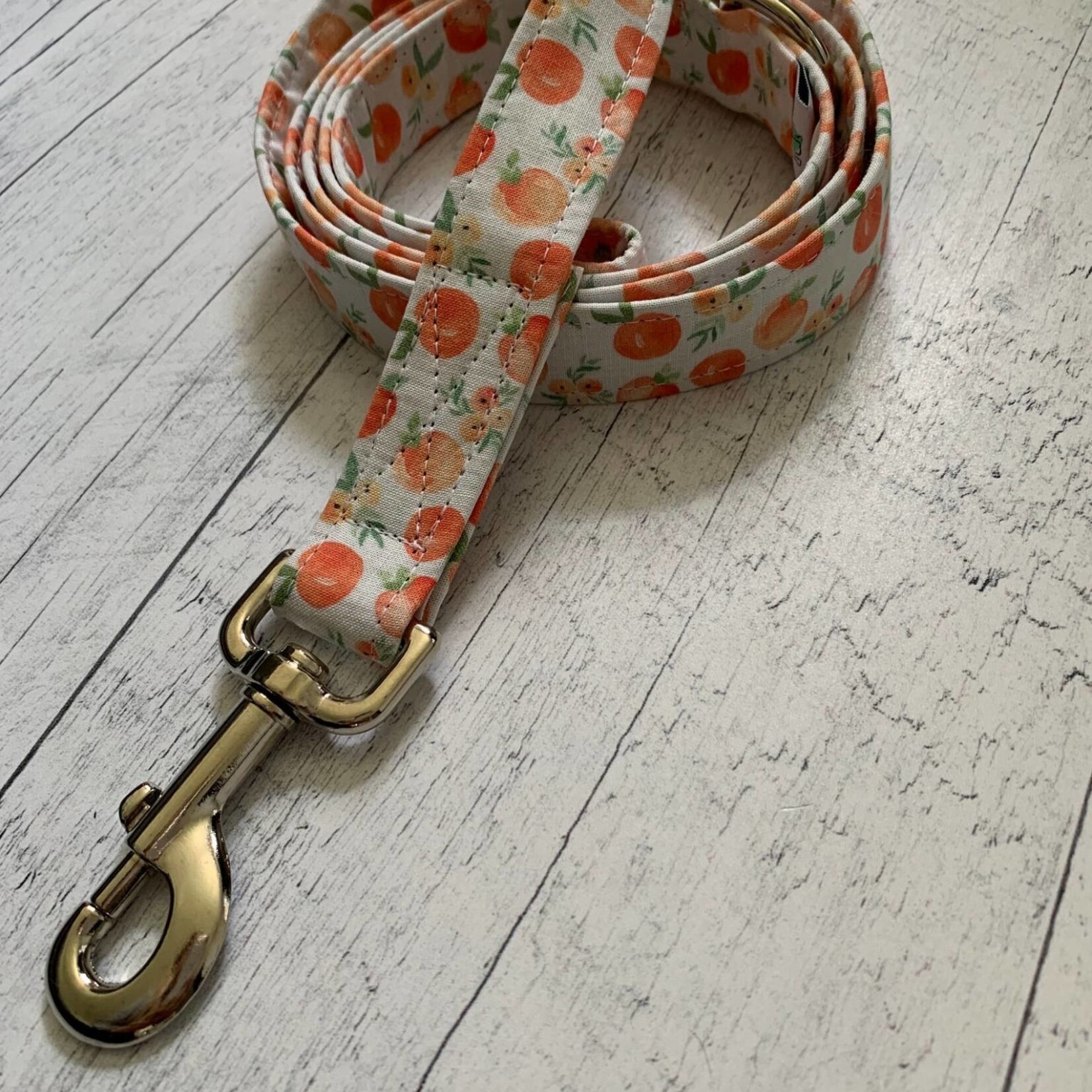 Laisse Moustache et Cie