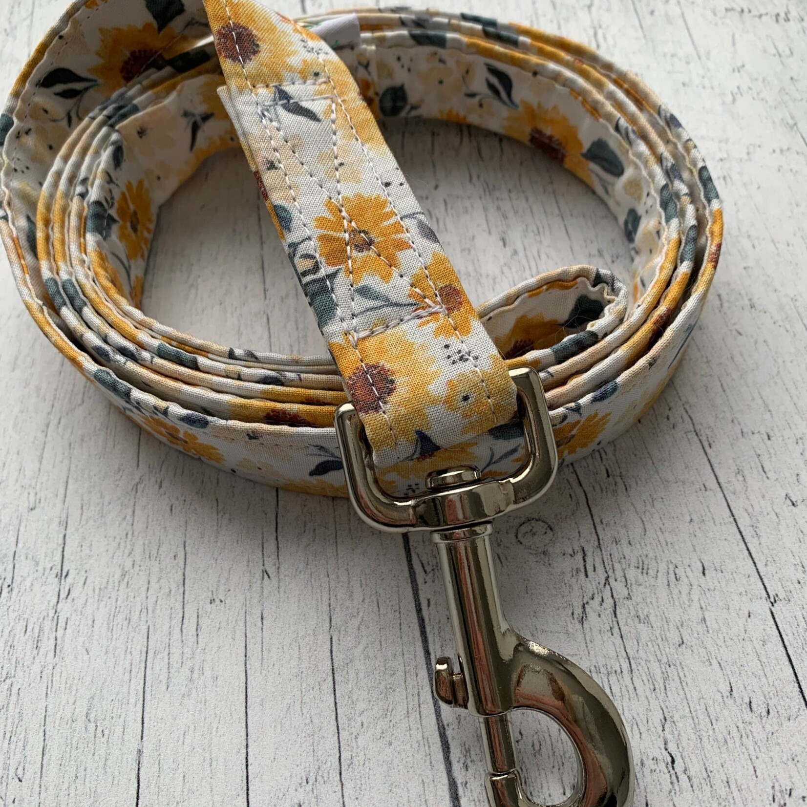 Laisse Moustache et Cie