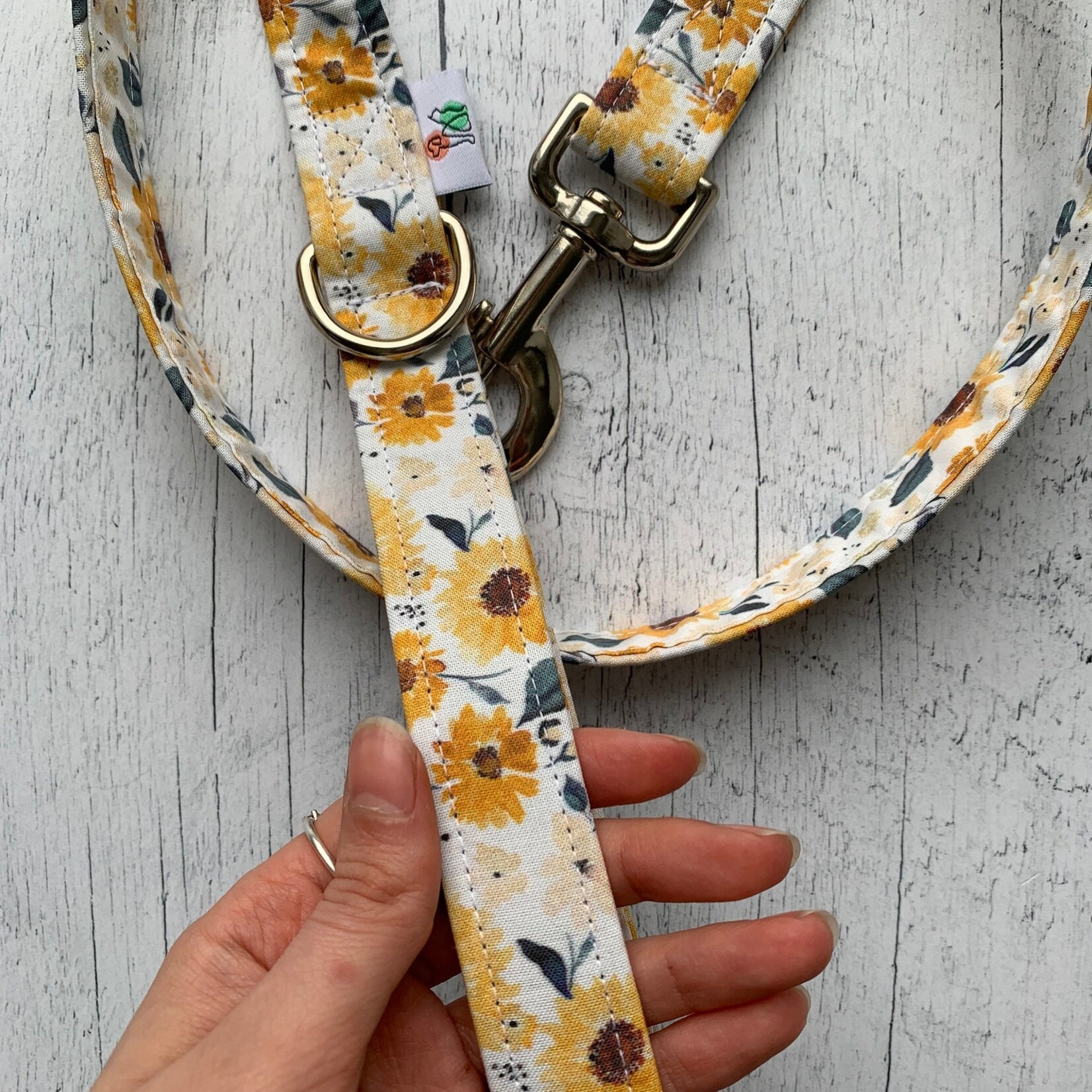 Laisse Moustache et Cie