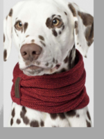 Foulard pour Chien – Accessoire Confortable et Stylé pour Toutes Races