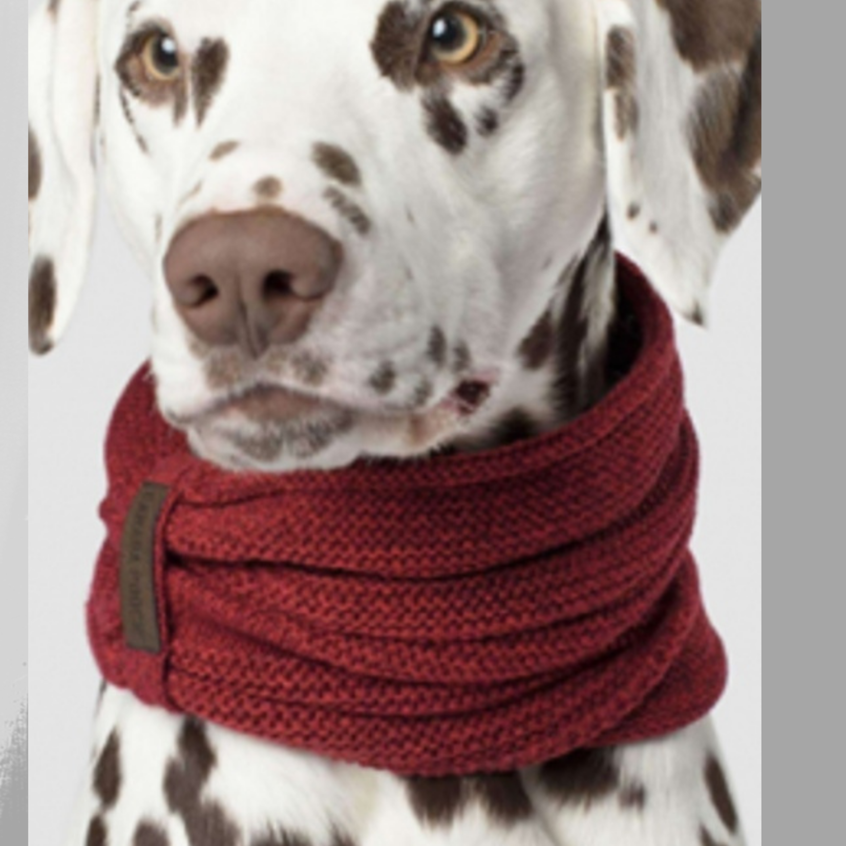 Dog Scarf – Comfortable and Stylish Accessory for All Breeds