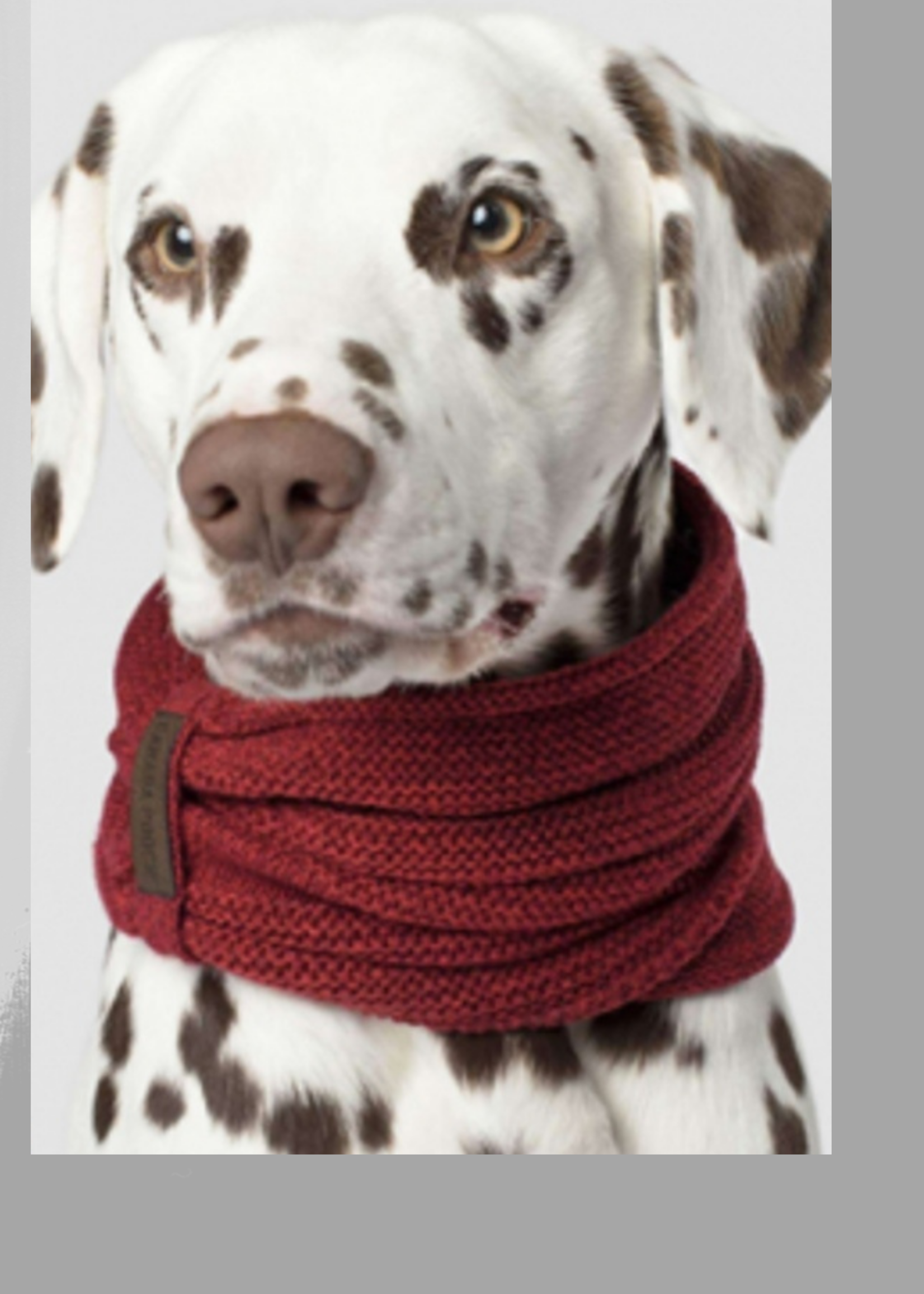 Foulard pour Chien – Accessoire Confortable et Stylé pour Toutes Races