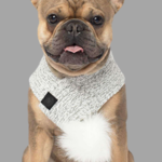 Dog Scarf | Sale