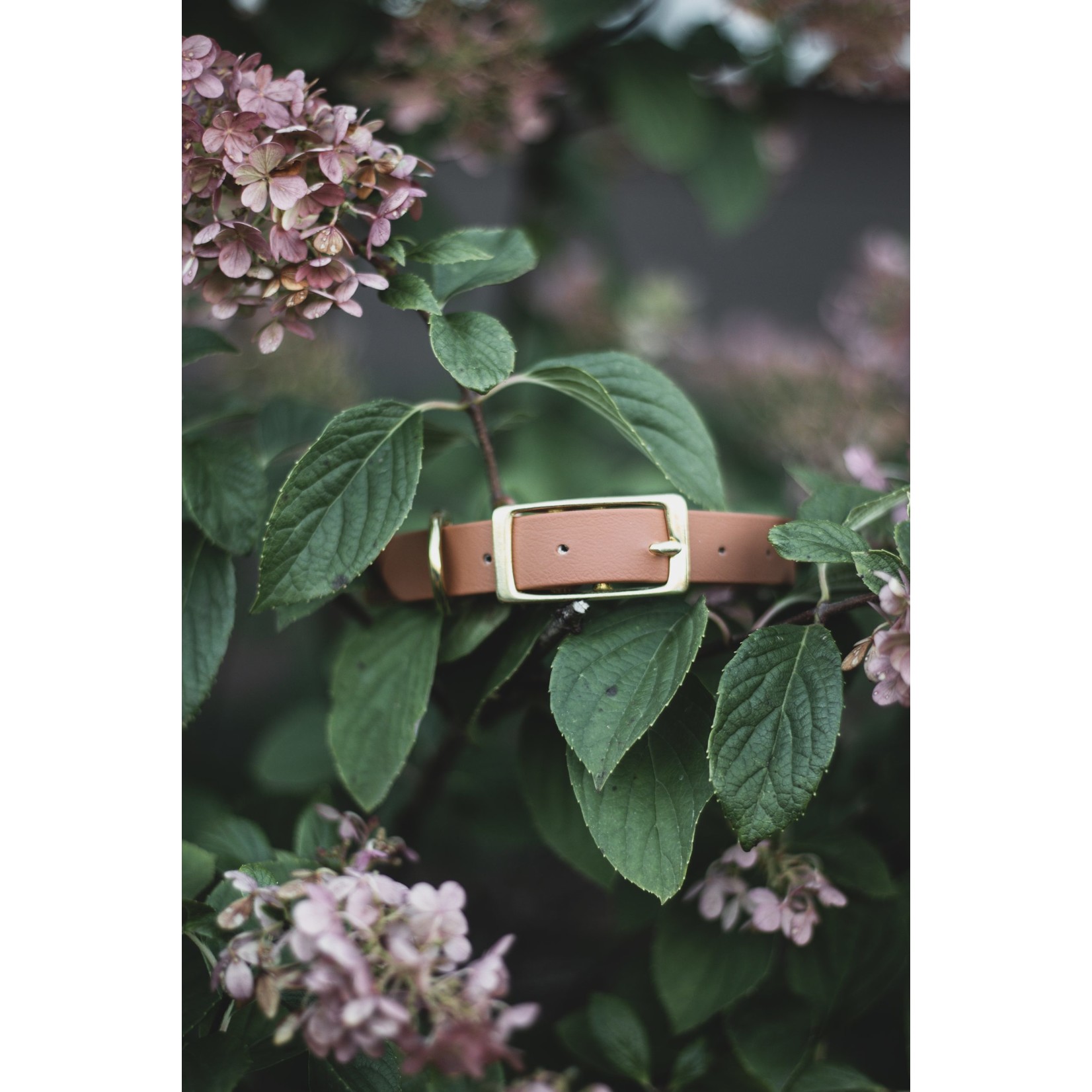 Collier en biothane
