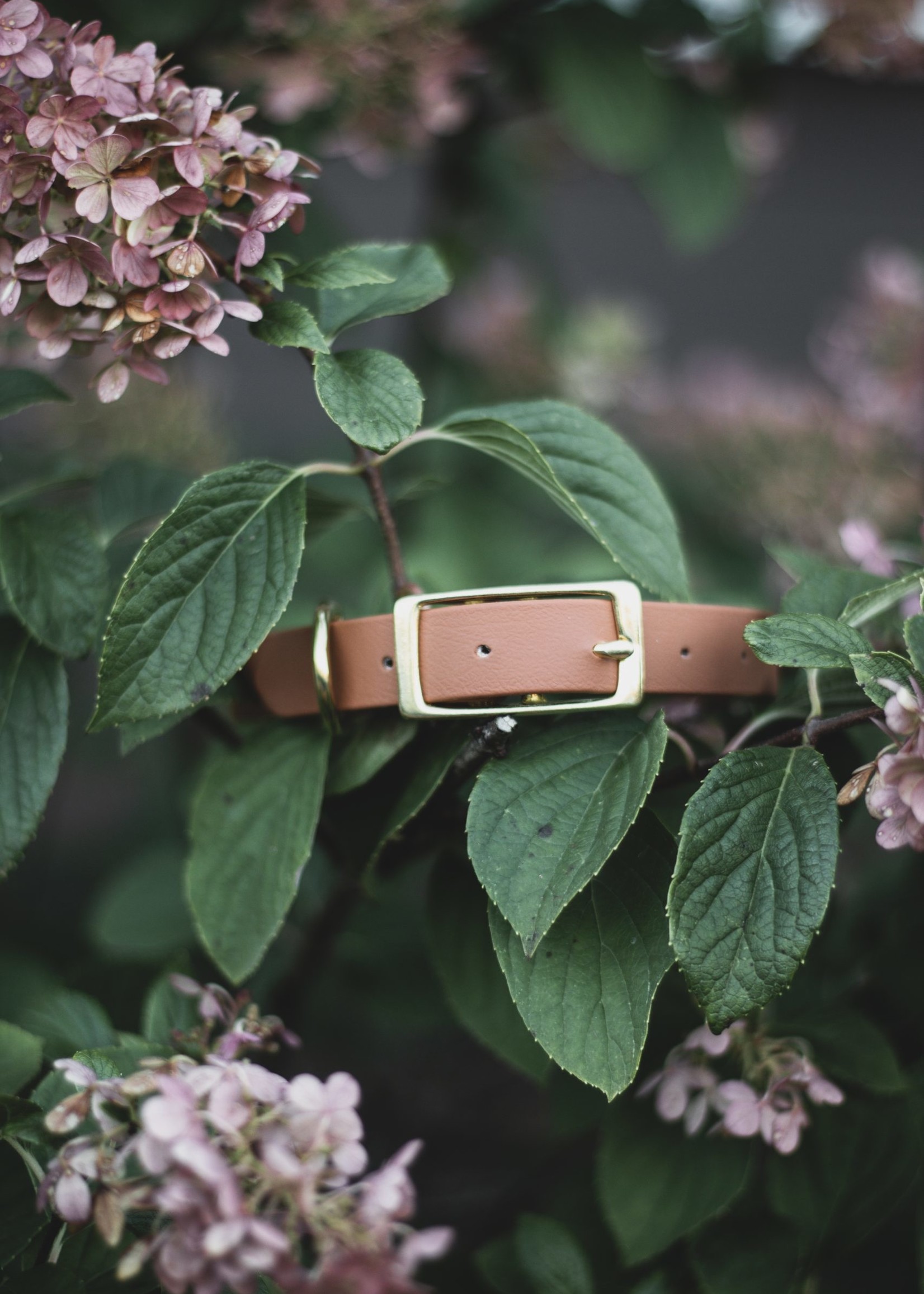Collier en biothane