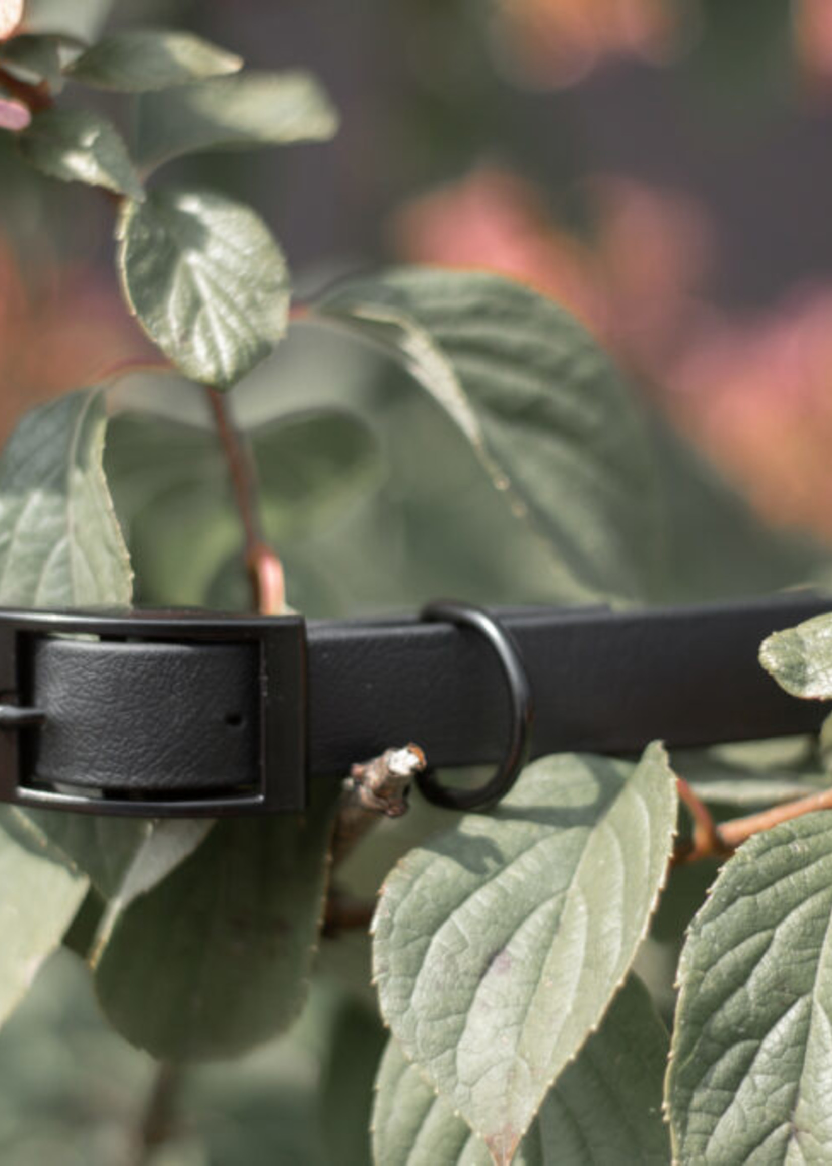 Collier en biothane
