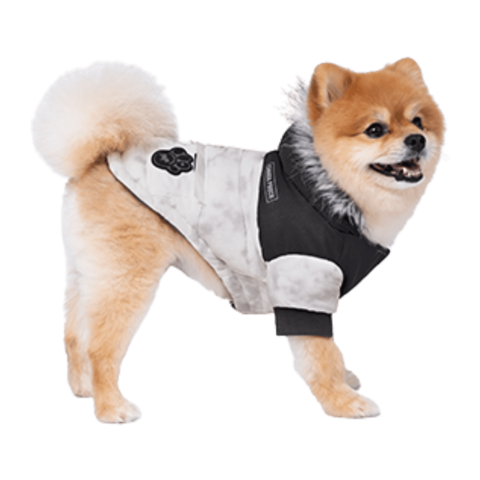 Petit Chien - Grand Style - Parka Alaska